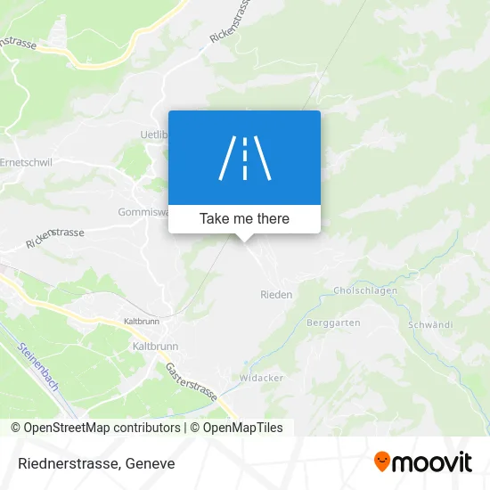 Riednerstrasse map