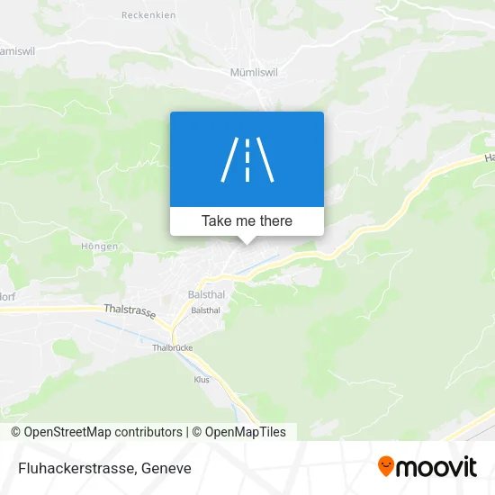 Fluhackerstrasse map