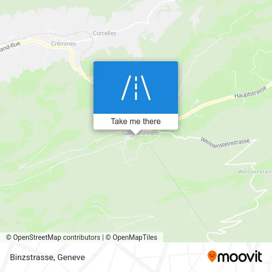 Binzstrasse map