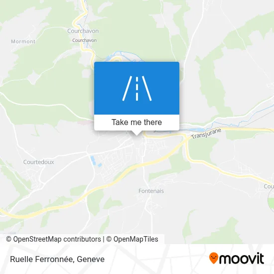 Ruelle Ferronnée map