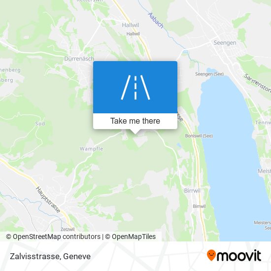 Zalvisstrasse map