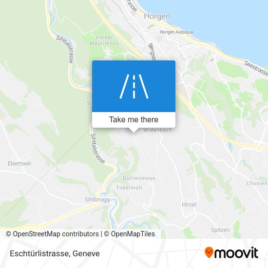 Eschtürlistrasse map