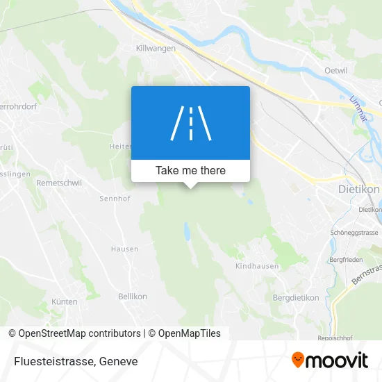 Fluesteistrasse map