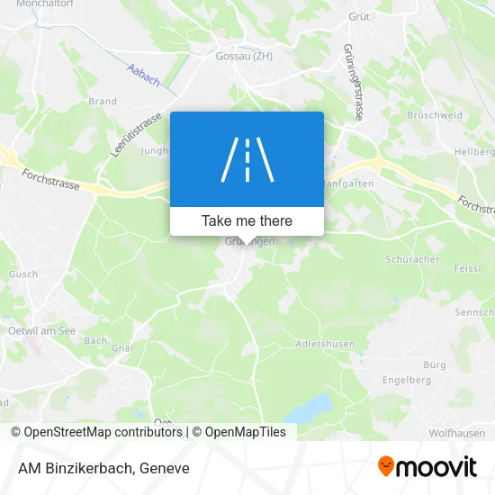 AM Binzikerbach map
