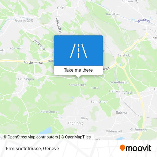 Ermisrietstrasse map