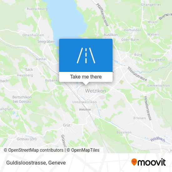 Guldisloostrasse map