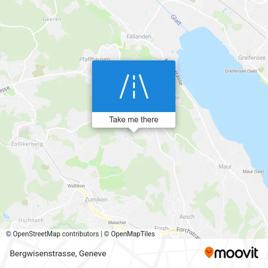 Bergwisenstrasse map