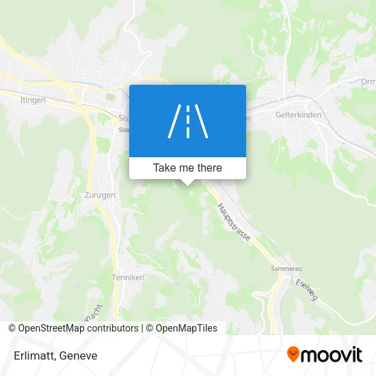 Erlimatt map