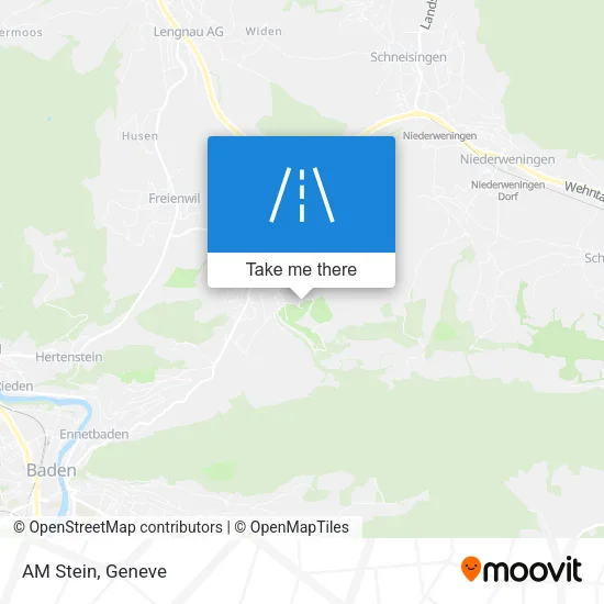 AM Stein map