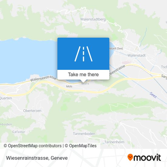 Wiesenrainstrasse map