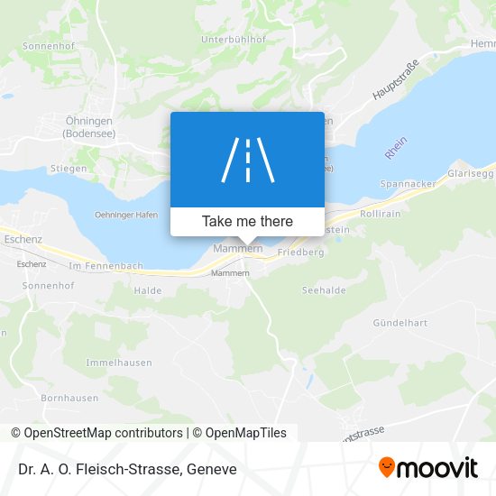 Dr. A. O. Fleisch-Strasse map