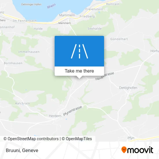 Bruuni map