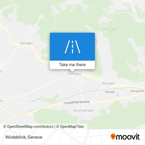 Wiideblick plan