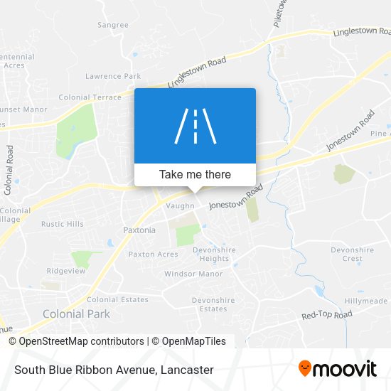 South Blue Ribbon Avenue map