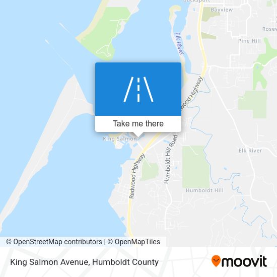 Mapa de King Salmon Avenue