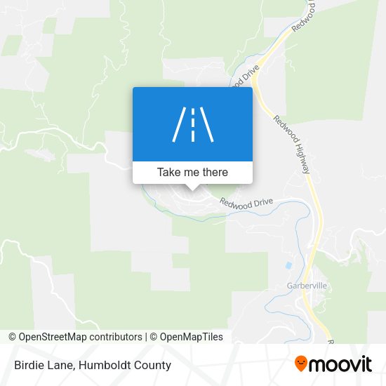 Birdie Lane map