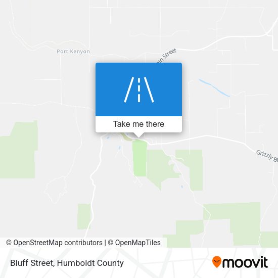 Bluff Street map