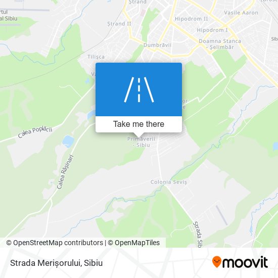 Strada Merișorului map