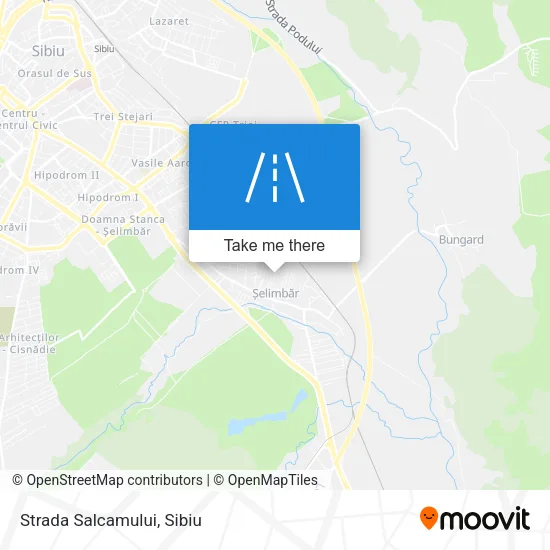 Strada Salcamului map