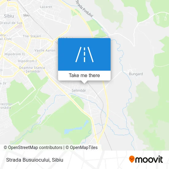 Strada Busuiocului map