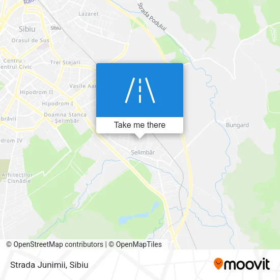 Strada Junimii map