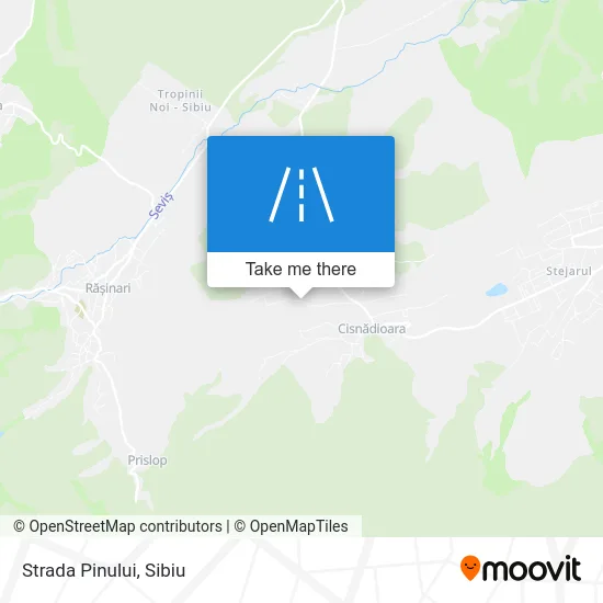 Strada Pinului map