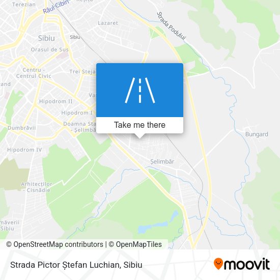 Strada Pictor Ștefan Luchian map
