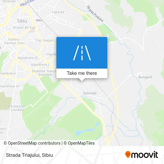 Strada Triajului map