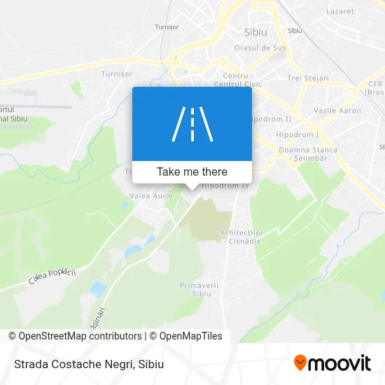 Strada Costache Negri map