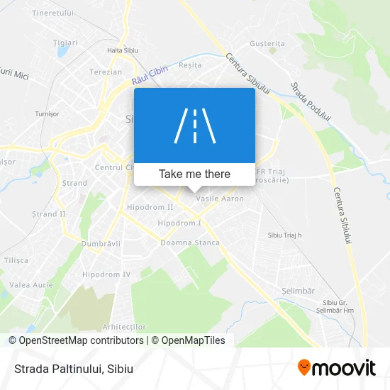 Strada Paltinului map