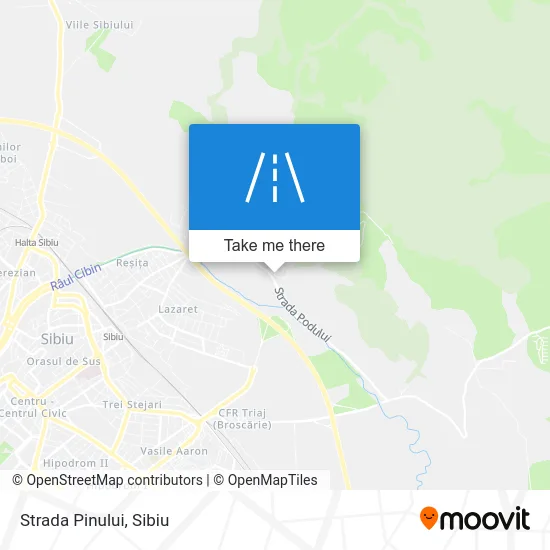 Strada Pinului map