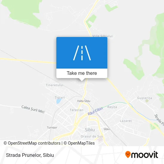 Strada Prunelor map
