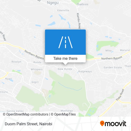 Duom Palm Street map