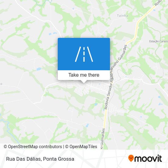 Rua Das Dálias map