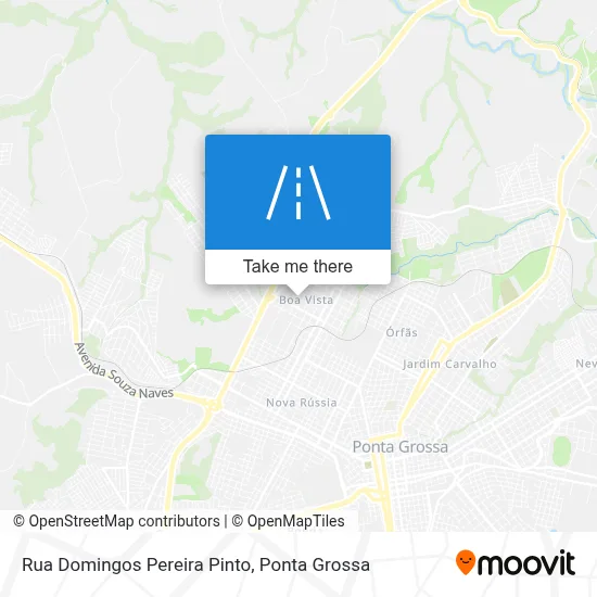 Rua Domingos Pereira Pinto map