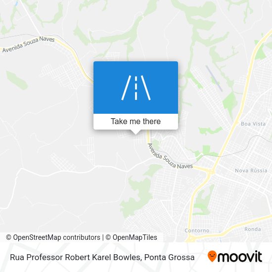 Rua Professor Robert Karel Bowles map
