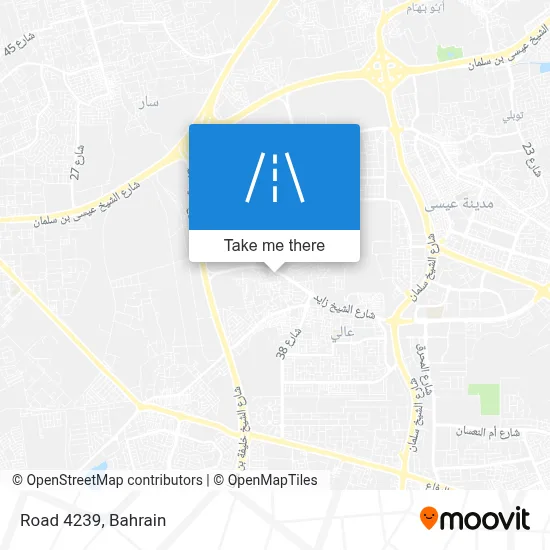 Road 4239 map