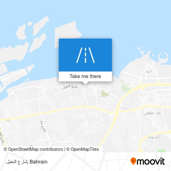 شارع النخيل map