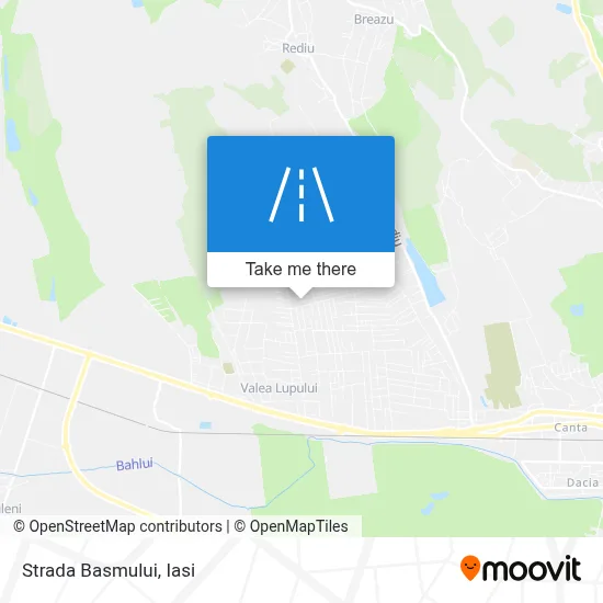 Strada Basmului map