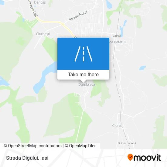 Strada Digului map