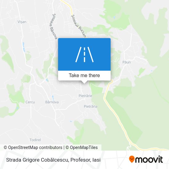 Strada Grigore Cobălcescu, Profesor map