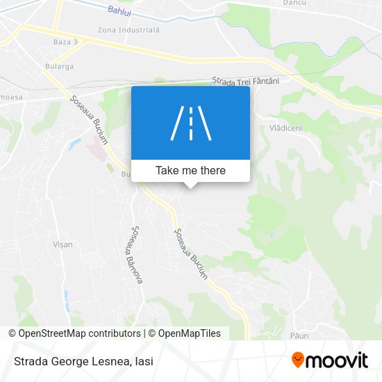 Strada George Lesnea map