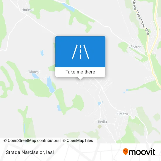 Strada Narciselor map