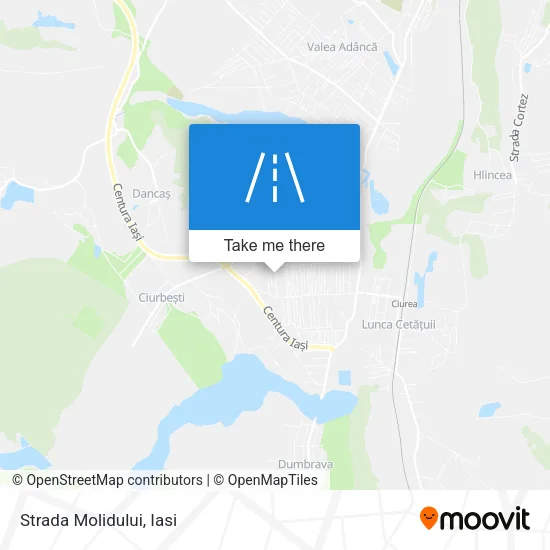 Strada Molidului map