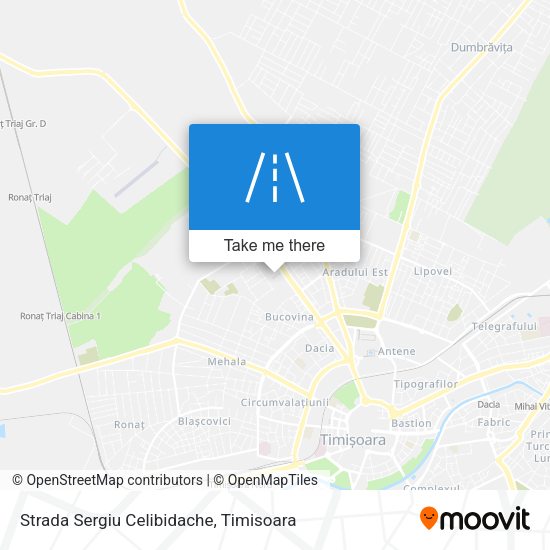 Strada Sergiu Celibidache map