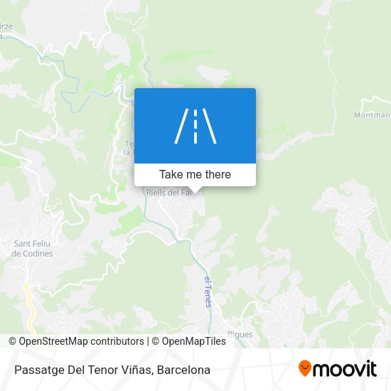 Passatge Del Tenor Viñas map