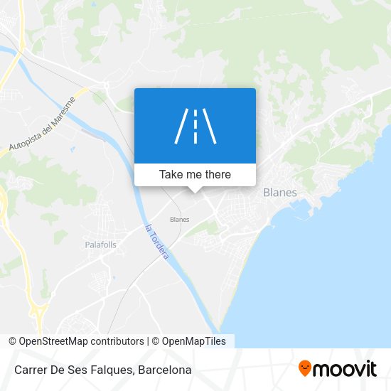 Carrer De Ses Falques map