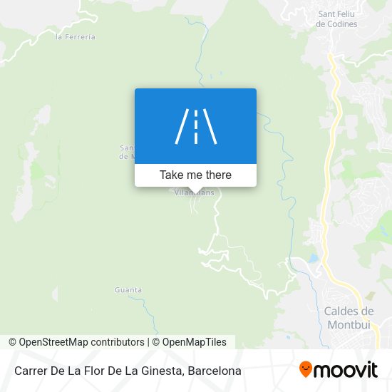 Carrer De La Flor De La Ginesta map
