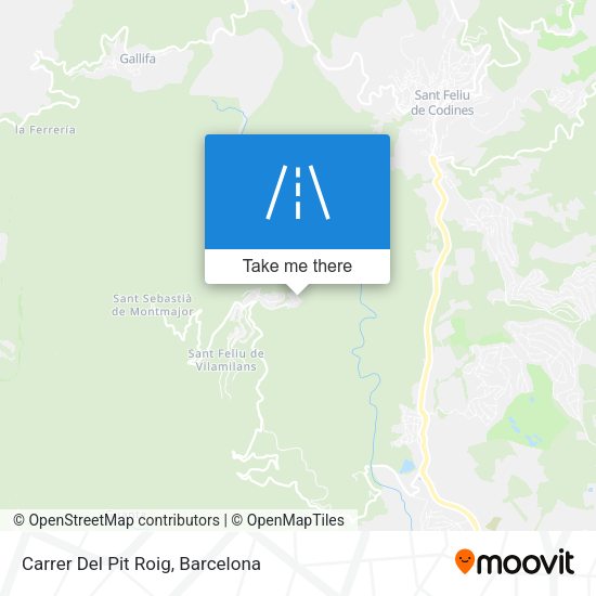 Carrer Del Pit Roig map