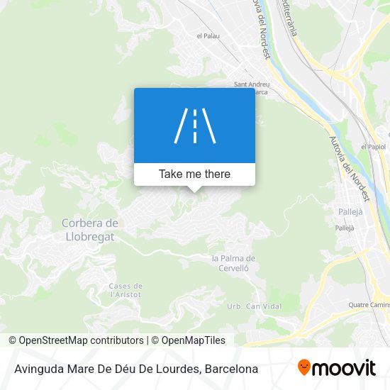 Avinguda Mare De Déu De Lourdes map